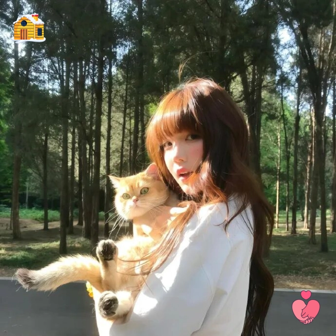 小鱼
